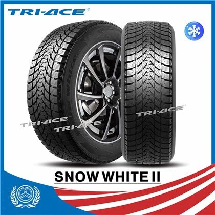 Teiars Gaeaf Studdable